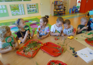 Dzieci obserwują rośliny przez lupę w sali przedszkolnej.